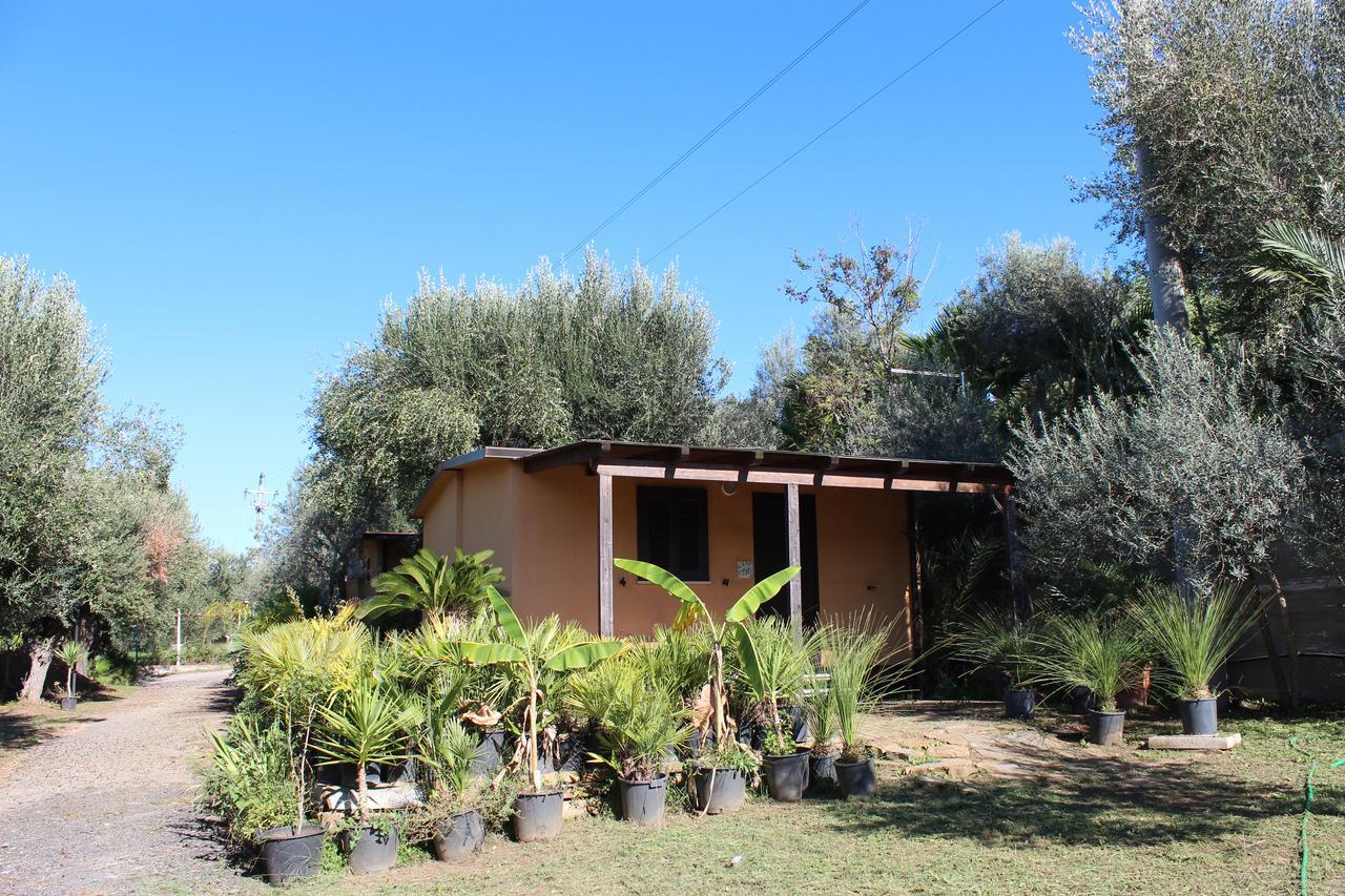 Residence Serrone Santa Maria di Castellabate Eksteriør billede