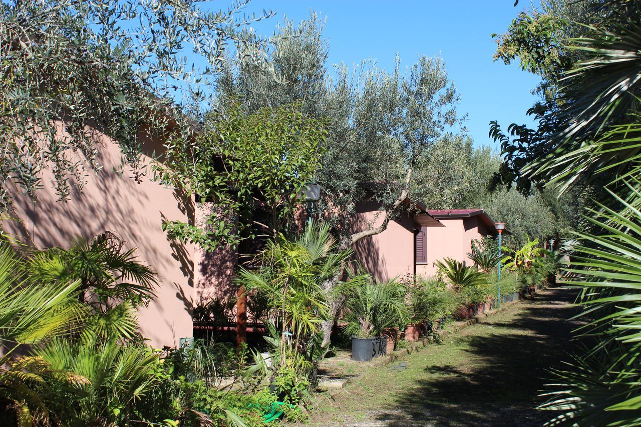 Residence Serrone Santa Maria di Castellabate Eksteriør billede