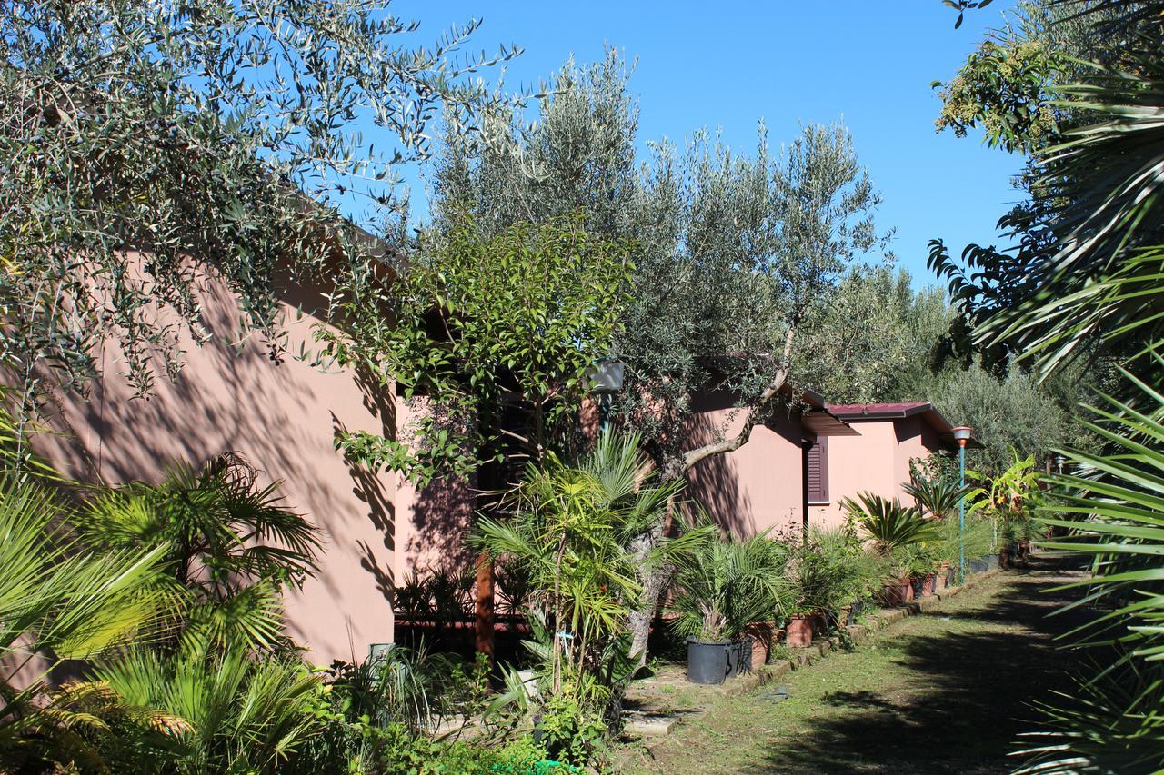 Residence Serrone Santa Maria di Castellabate Eksteriør billede