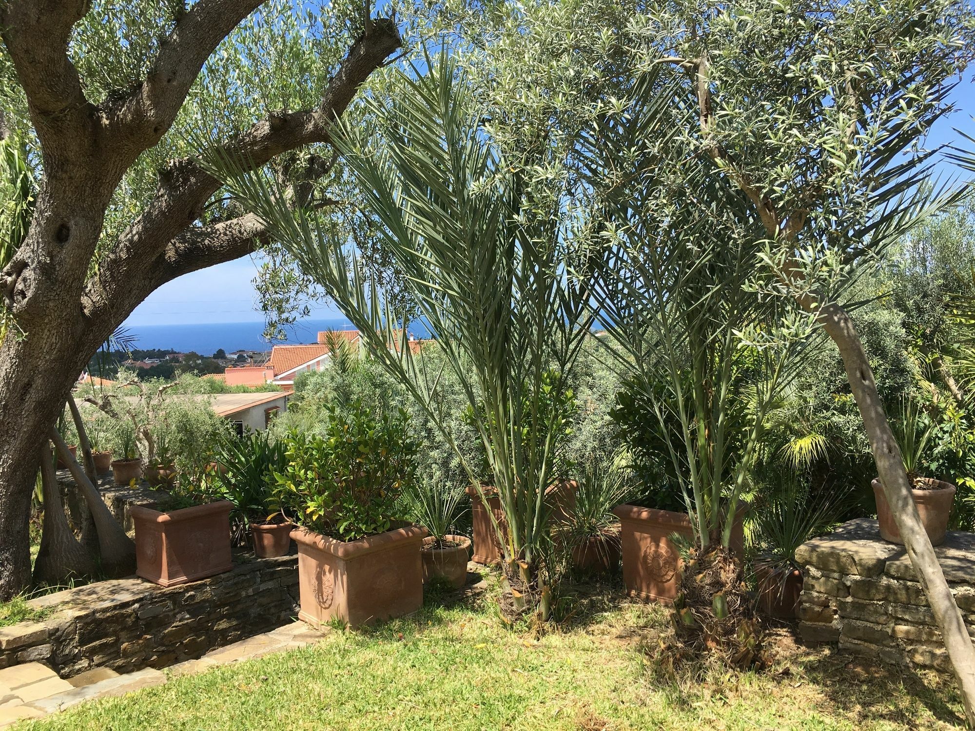 Residence Serrone Santa Maria di Castellabate Eksteriør billede